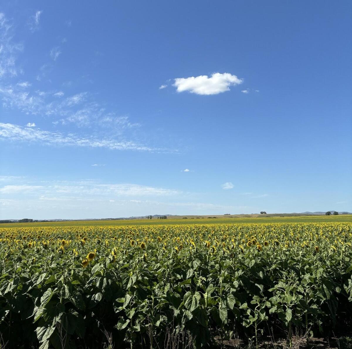 La Danesa - En La Naturaleza A 25 Min Del Centro Tandil